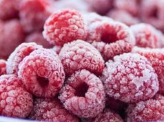 В Молдове начался сезон закупки малины для заморозки