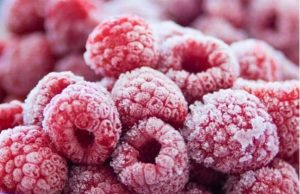 В Молдове начался сезон закупки малины для заморозки