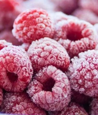 В Молдове начался сезон закупки малины для заморозки