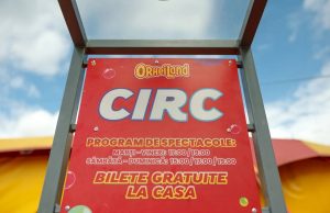 Акробаты, жонглеры и клоуны украшают лето в OrheiLand, предлагая захватывающие шоу и незабываемые эмоции