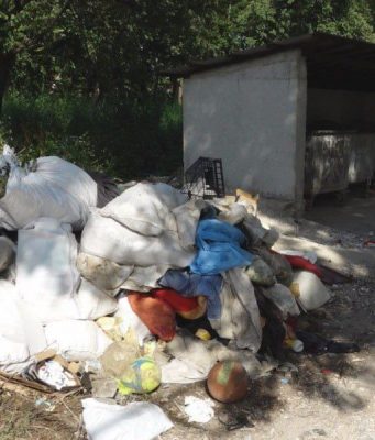 Стихийные свалки в Бельцах: камеры и штрафы для борьбы с экологической проблемой