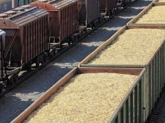 «Железные дороги Молдовы» готовятся к пиковому сельскохозяйственному сезону