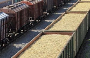 «Железные дороги Молдовы» готовятся к пиковому сельскохозяйственному сезону