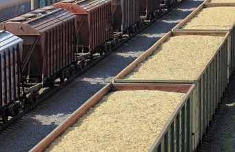 «Железные дороги Молдовы» готовятся к пиковому сельскохозяйственному сезону