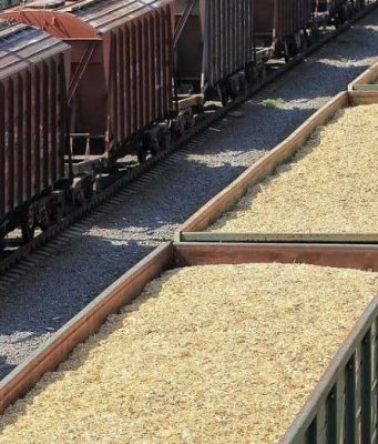 «Железные дороги Молдовы» готовятся к пиковому сельскохозяйственному сезону