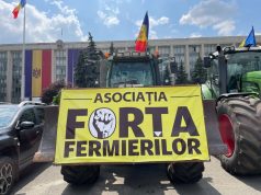 Ассоциация Forța Fermierilor обвиняет правительство Молдовы в уничтожении сельского хозяйства
