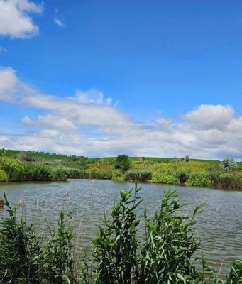 Пансион «Poemul Plopilor» в Зузулений Ной привлекает туристов уникальным сочетанием традиций и комфорта