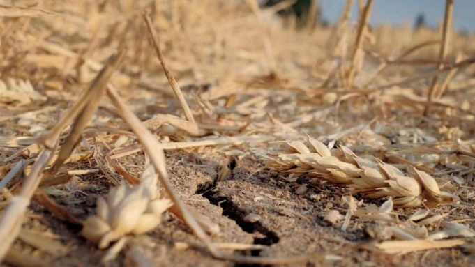 photo_2025-07-08_00-27-36