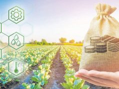 Новый закон Молдовы упрощает финансирование аграрного сектора