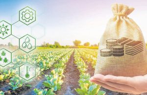 Новый закон Молдовы упрощает финансирование аграрного сектора