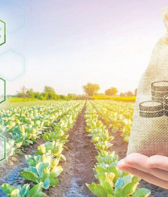 Новый закон Молдовы упрощает финансирование аграрного сектора