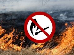 В Молдове напоминают: сжигание растительных остатков — правонарушение