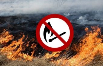 В Молдове напоминают: сжигание растительных остатков — правонарушение