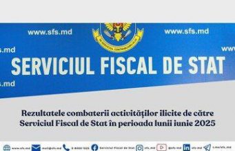 Налоговая служба Молдовы выявила 295 нарушений в ходе борьбы с незаконным предпринимательством