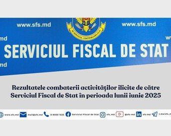 Налоговая служба Молдовы выявила 295 нарушений в ходе борьбы с незаконным предпринимательством