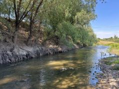 Очистка реки Рэут начнётся в Бахринештах, но в Устье жалуются на обмеление