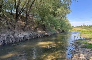 Очистка реки Рэут начнётся в Бахринештах, но в Устье жалуются на обмеление