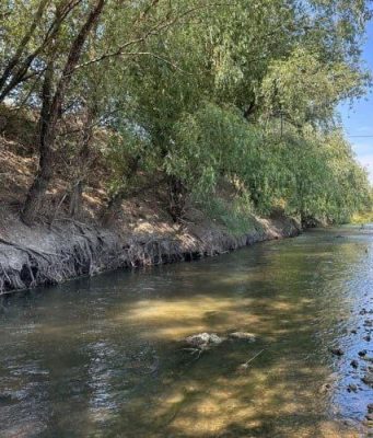Очистка реки Рэут начнётся в Бахринештах, но в Устье жалуются на обмеление