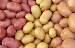 Южнокорейская компания инвестирует $16 млн в центр семенного картофеля в Молдове