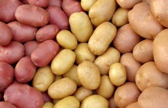 Южнокорейская компания инвестирует $16 млн в центр семенного картофеля в Молдове