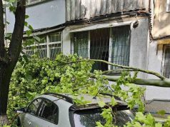 Кишинёв устраняет последствия мощного шторма: поваленные деревья и повреждённые сети