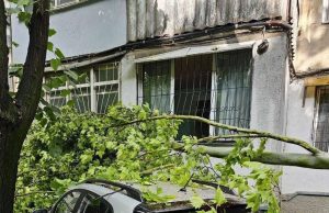 Кишинёв устраняет последствия мощного шторма: поваленные деревья и повреждённые сети