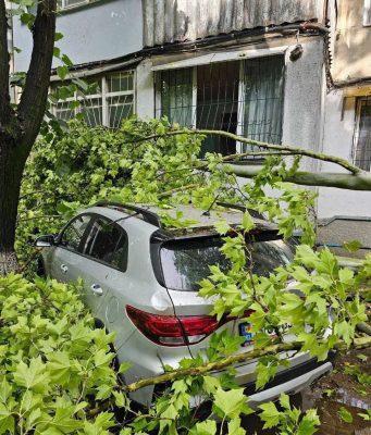 Кишинёв устраняет последствия мощного шторма: поваленные деревья и повреждённые сети