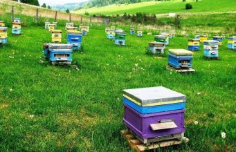 Молдова запускает цифровые услуги для фермеров