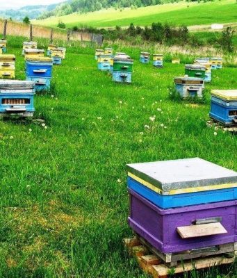 Молдова запускает цифровые услуги для фермеров