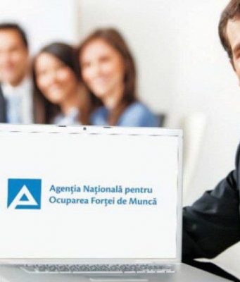 Национальное агентство занятости Молдовы трудоустроило более 12 тысяч человек в 2025 году