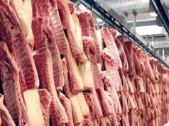 Молдова разрешит импорт 1,2 тыс. тонн свинины для устранения дефицита