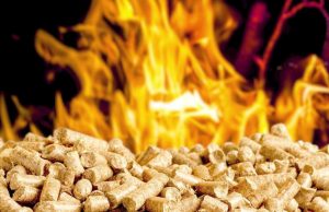 Приднестровье открывает экспорт топливных пеллет