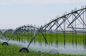 В Анений Ной запустили новую ирригационную систему для 60 гектаров сельхозугодий