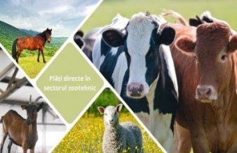 AIPA: срок подачи заявок на субсидии на голову животного — до 8 августа