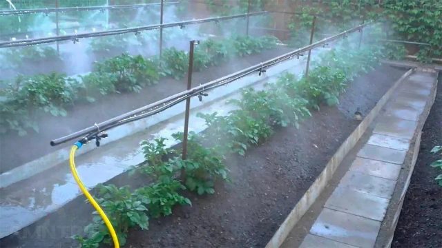 photo_2025-07-31_21-03-11