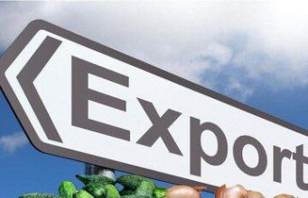 Молдова получила разрешение на экспорт огурцов и лука в Израиль