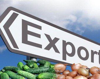 Молдова получила разрешение на экспорт огурцов и лука в Израиль