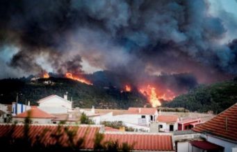 Предупреждение для граждан Молдовы: высокий риск лесных пожаров в Португалии