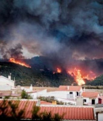 Предупреждение для граждан Молдовы: высокий риск лесных пожаров в Португалии