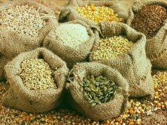 «Семена надежды»: Молдавские фермеры запустили кампанию взаимопомощи