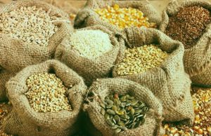 «Семена надежды»: Молдавские фермеры запустили кампанию взаимопомощи