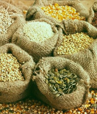 «Семена надежды»: Молдавские фермеры запустили кампанию взаимопомощи