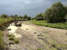 В Молдове исчезло 40% поверхностных вод