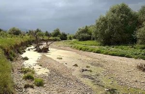 В Молдове исчезло 40% поверхностных вод