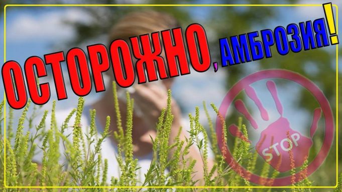 photo_2025-09-04_08-35-26