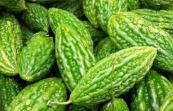 Горький огурец: целебная момордика завоевывает популярность в Молдове