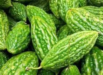 Горький огурец: целебная момордика завоевывает популярность в Молдове
