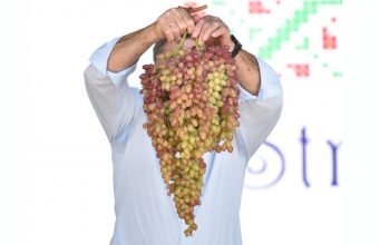 В Чимишлии выбрали обладателя «Гигантской виноградной грозди»