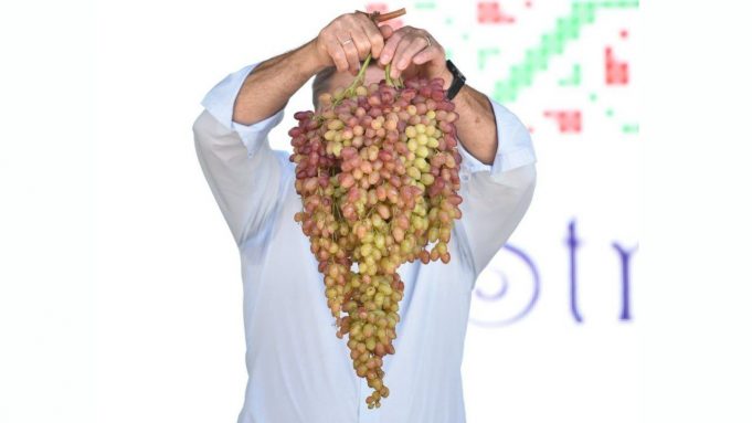 photo_2025-09-11_23-32-51