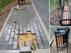 Вандализм в Кишинёве: Рышкановский лесопарк пострадал в ночь на 12 сентября